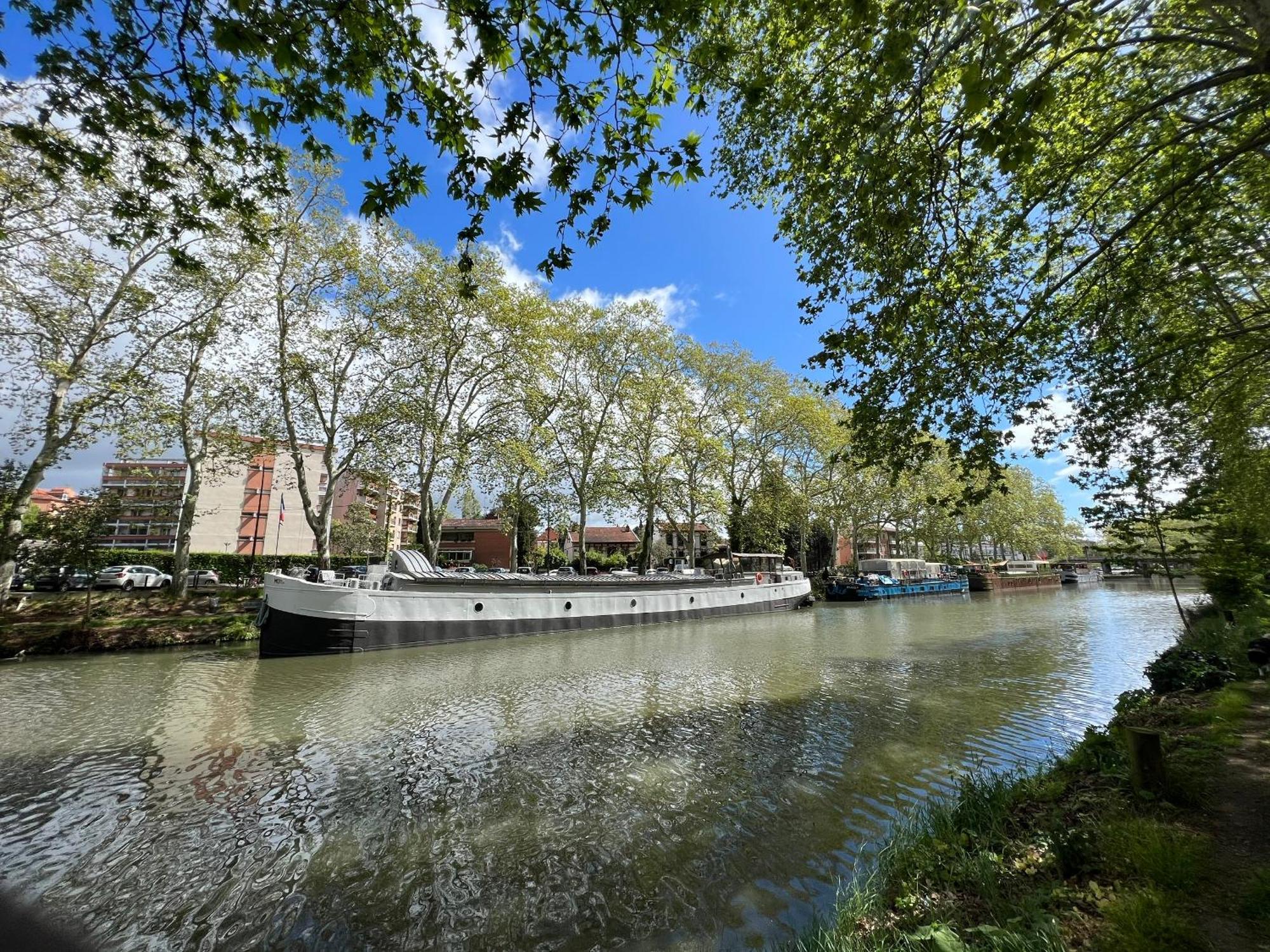Sunset Duplex - Grand-Rond, Jardin Des Plantes, Centre-Ville, 2 Bdrs 60M2, Ac, Free Public Car Park 200M Away, Netflix - T3 60M2 Avec Clim, Parking Public Gratuit A 200M Toulouse Extérieur photo